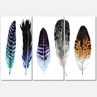 Designart - Colourful Boho Feathers II