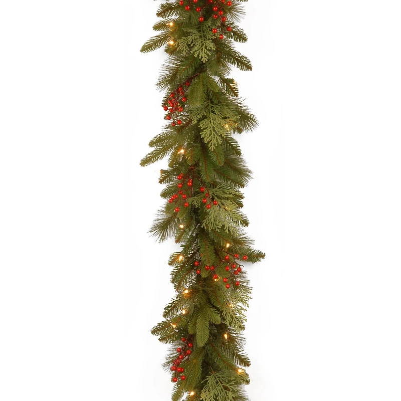 9ft. Clear Lights Mixed Evergreen Classical Collection Garland