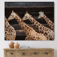 Designart - Three Giraffes Running