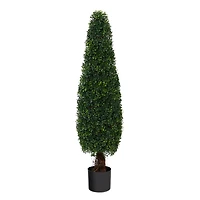 4ft. Potted Boxwood Cone Topiary Tree