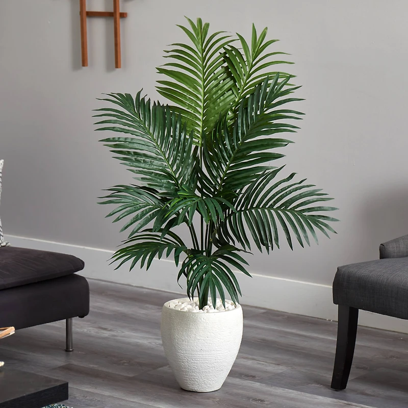 4.5ft. Kentia Palm Tree in White Oval Planter