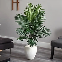 4.5ft. Kentia Palm Tree in White Oval Planter