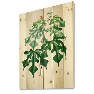 Designart - Vintage Green Leaves Plants II