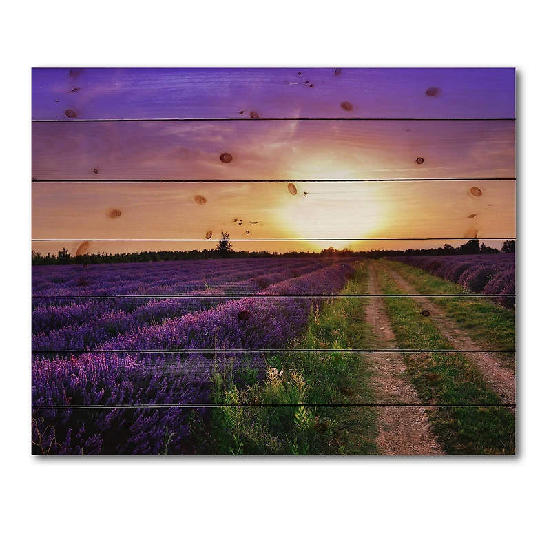 Designart - Lavender Field At Dawn II