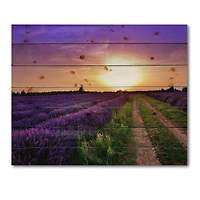 Designart - Lavender Field At Dawn II