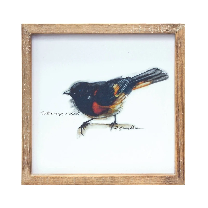 9.5" Framed Bird Print Set, 4ct.