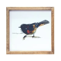9.5" Framed Bird Print Set, 4ct.