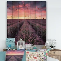 Designart - Sunrise & Dramatic Clouds Over Lavender Field XIV