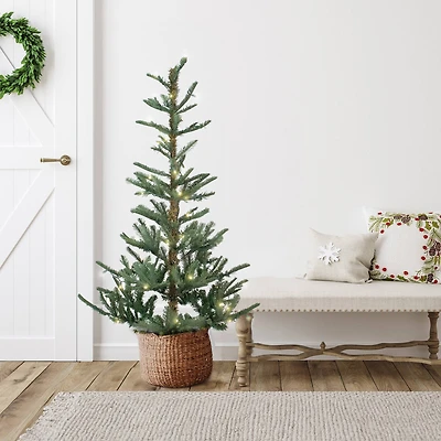 4.5ft. Pre-Lit Real Touch™️ Nordmann Artificial Christmas Tree, Warm Clear LED Lights