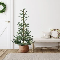 4.5ft. Pre-Lit Real Touch™️ Nordmann Artificial Christmas Tree, Warm Clear LED Lights