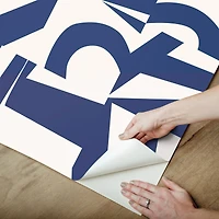 RoomMates Emily Rayna Inside The Box Peel & Stick Wallpaper