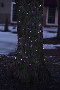 2' x 8' Purple Mini Tree Trunk Wrap Christmas Net Lights - Brown Wire