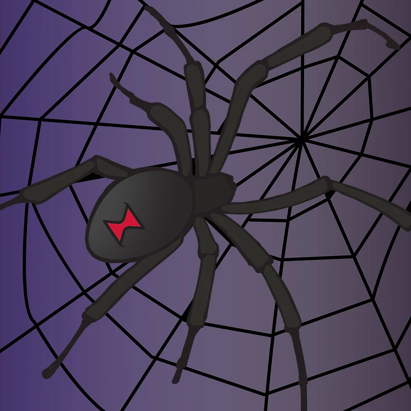 5" x 5" Spider in Web Canvas Painting Kit by Craft Smart®