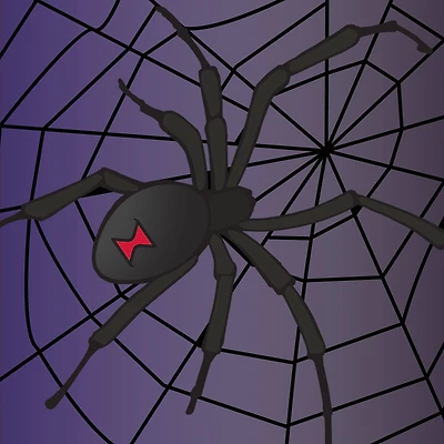 5" x 5" Spider in Web Canvas Painting Kit by Craft Smart®