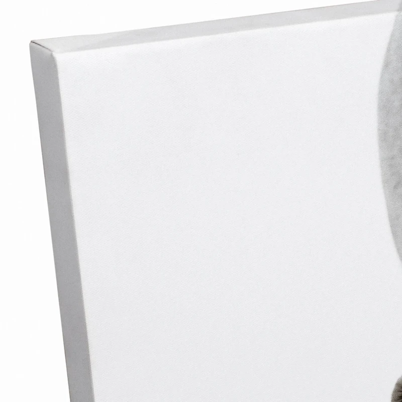 Grazing White Horse 16" x 20" Canvas Wall Art