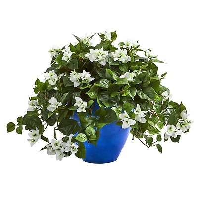 22" White Bougainvillea in Blue Planter