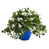 22" White Bougainvillea in Blue Planter