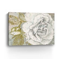 White Rose Blossom Canvas Giclee