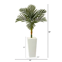 4.5ft. Golden Cane Palm Tree in Tall White Planter