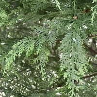 7.5ft. Pre-Lit Cypress Artificial Christmas Tree, Warm White LED Lights