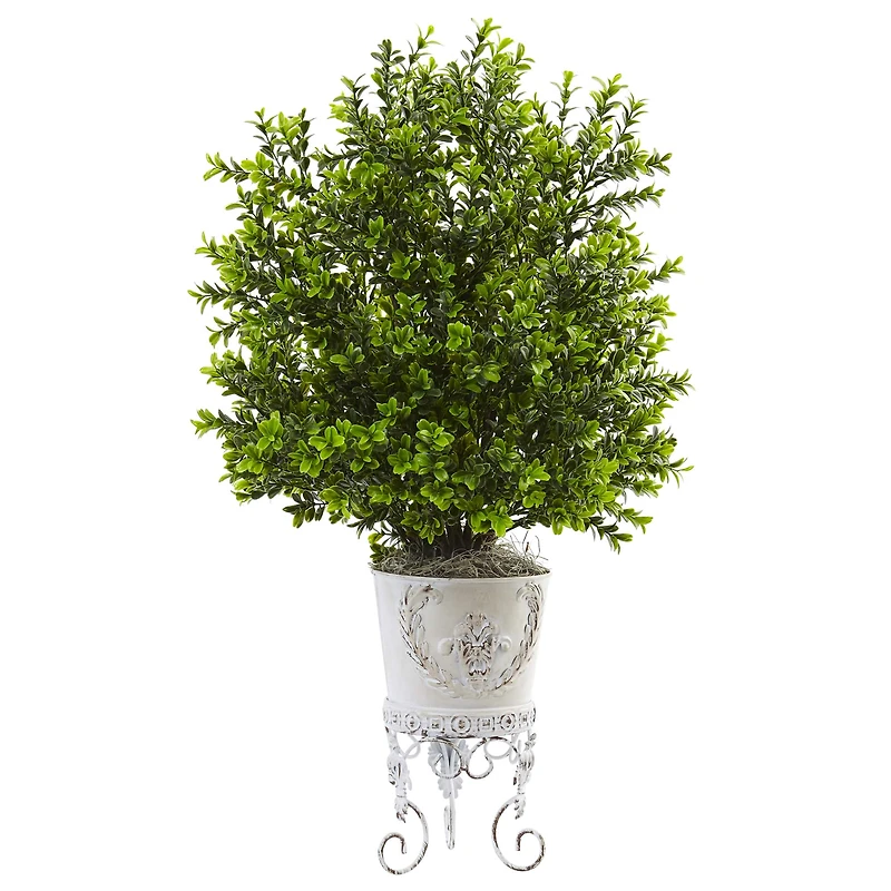 2.5ft. Boxwood with White Metal Planter