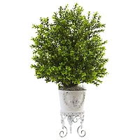 2.5ft. Boxwood with White Metal Planter