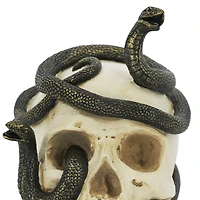 7.25" Snake-Entwined Skull Tabletop Décor by Ashland®