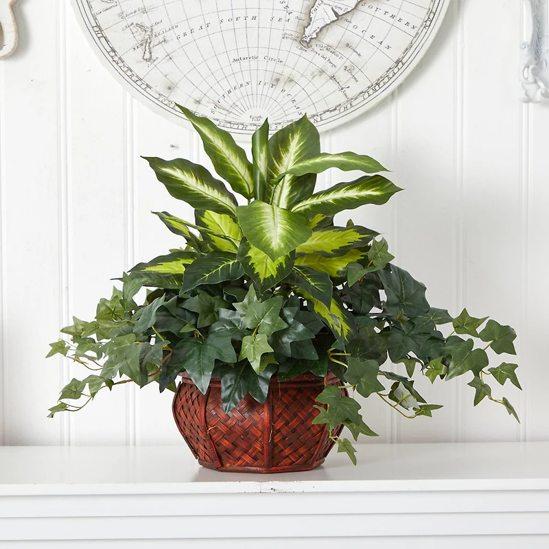 20" Dieffenbachia & Ivy In Decorative Planter