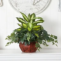20" Dieffenbachia & Ivy In Decorative Planter