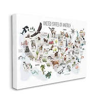 Stupell Industries United States of America Map of Animals Kid's Illustration Canvas Wall Art
