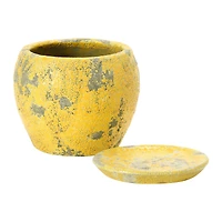 Hello Honey® 5" Distressed Yellow Terra Cotta Planter with Saucer Set