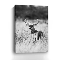 Grasslands Canvas Giclee