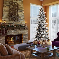 6.5ft. Pre-Lit Flocked Kiana Artificial Christmas Tree, Wide Angle Warm White LED Lights