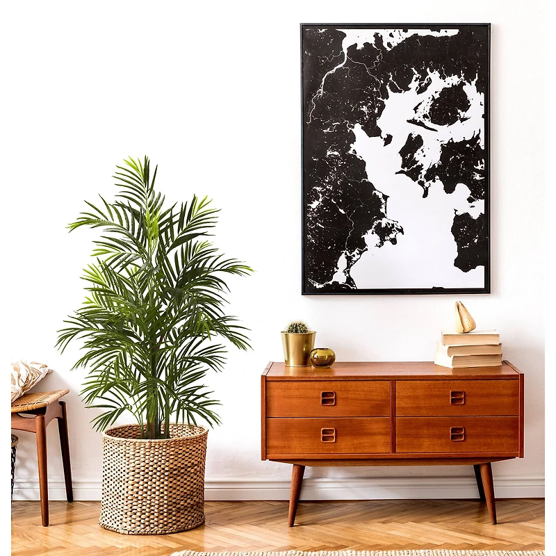 3.5ft. Potted Areca Palm