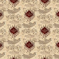 Paper House® Harry Potter Marauder's Map Double-Sided 12" x 12" Cardstock, 15 Sheets