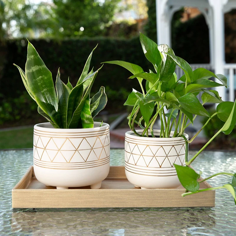 Flora Bunda 6" & 5" Geo Ceramic Pot With Legs Set