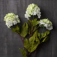 12 Pack: White Snowball Spray by Ashland®