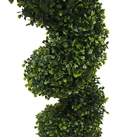 4ft. Potted Green Boxwood Spiral Tree