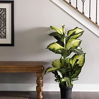 3.3ft. Potted Artificial Green & White Dumb Cane Tree