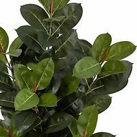 5.5ft. Potted UV Resistant Oak Tree