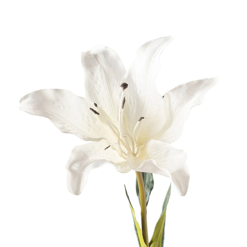 16 Pack: White Lily Stem by Ashland®