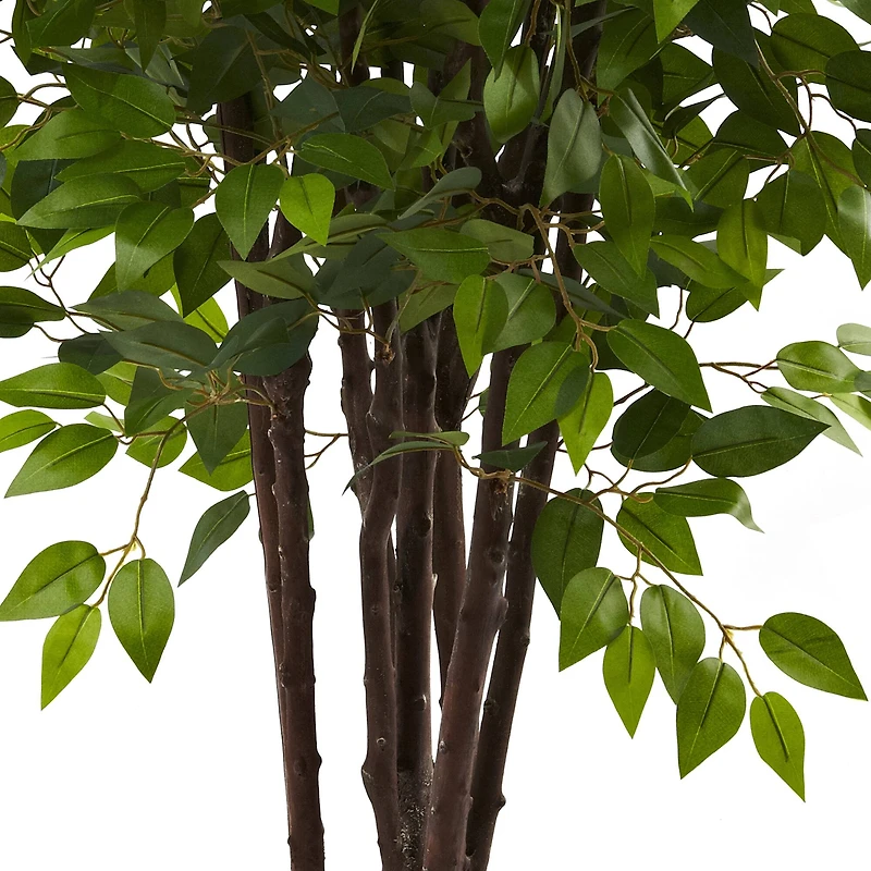 6.5ft. Potted Deluxe Ficus Tree