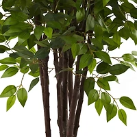 6.5ft. Potted Deluxe Ficus Tree
