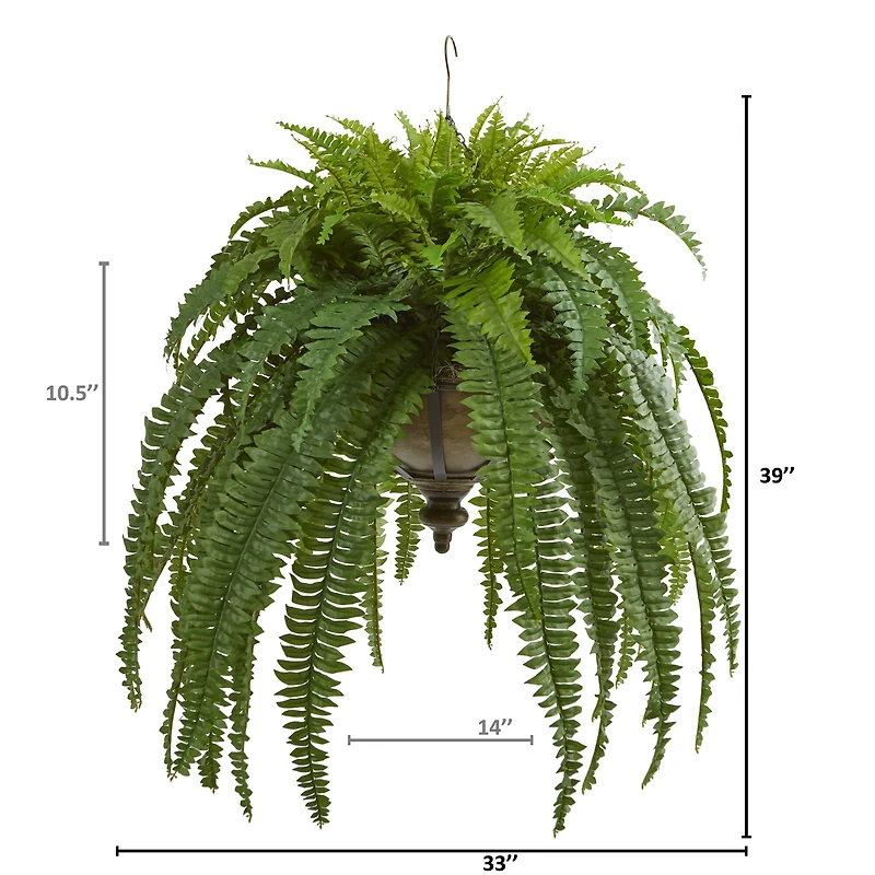 3ft. Boston Fern Plant in Metal Hanging Bowl
