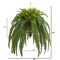 3ft. Boston Fern Plant in Metal Hanging Bowl