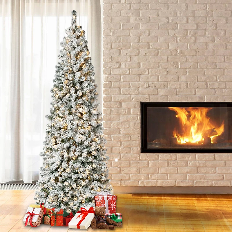 7.5ft. Pre-Lit Acacia Medium Flocked Artificial Christmas Tree, Clear Lights