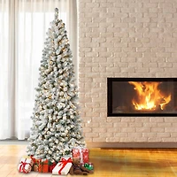 7.5ft. Pre-Lit Acacia Medium Flocked Artificial Christmas Tree, Clear Lights