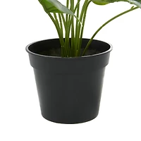 Green Plastic Traditional Artificial Foliage, 17" x 21" x 17"