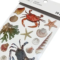Shell Stickers by Recollections™
