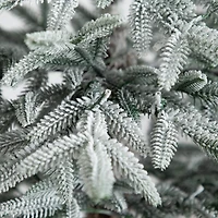 7ft. Pre-Lit Flocked Woodland Fir Artificial Christmas Tree, Warm White LED Lights